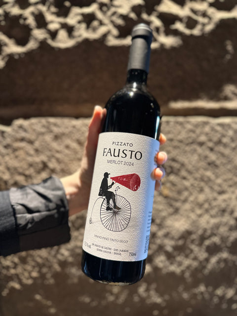 Vinho Tinto Pizzato Fausto Merlot