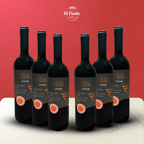 Combo 6 Vinhos Tintos Di Paolo Gran Reserva